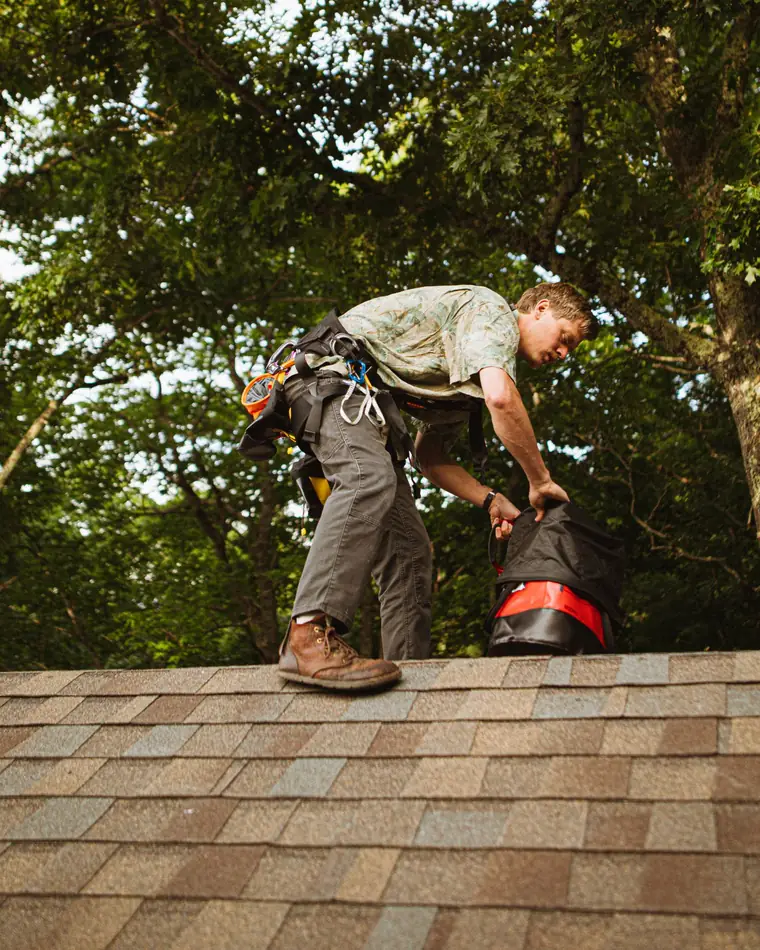 Roof inspector in a safety harness stepping across a shingle roof under tall trees