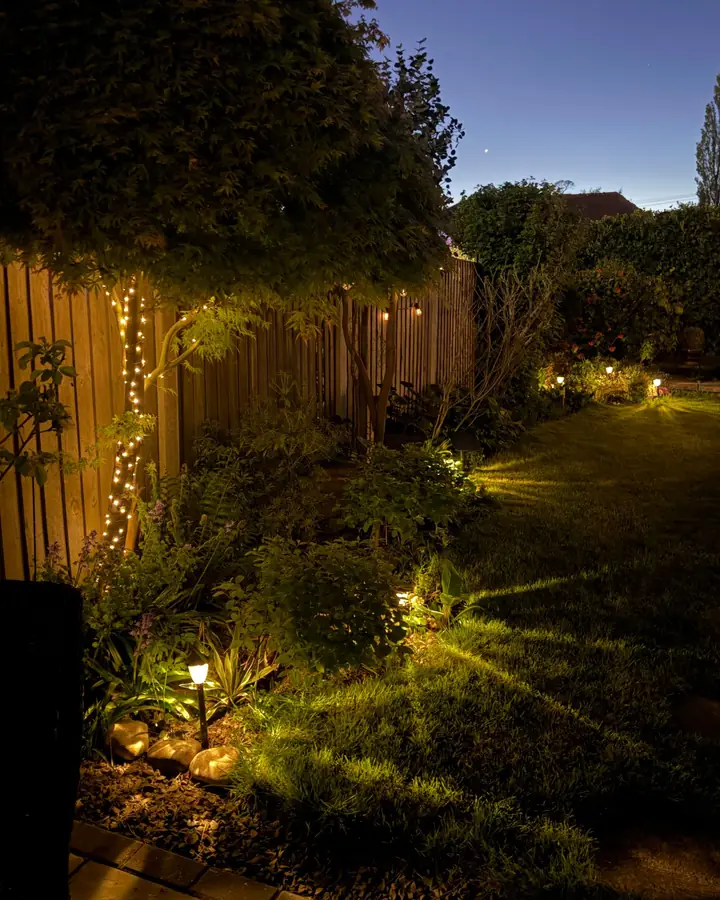 Backyard garden at dusk with warm path lights, a lit maple trunk and a planted border along a fence