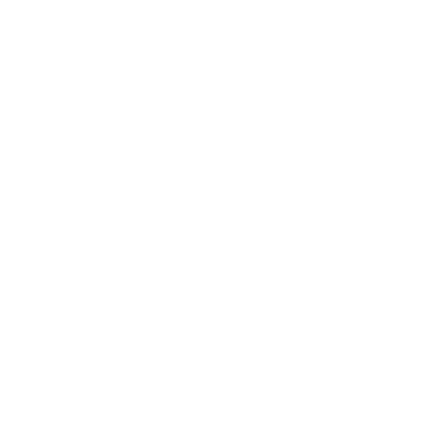 NSW Ports White Logo